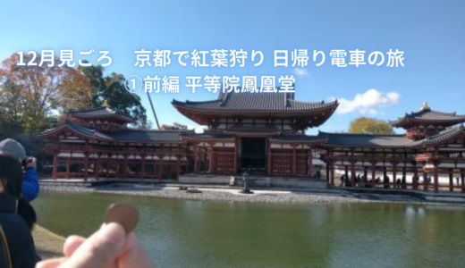12月見ごろ　京都で紅葉狩り 日帰り電車の旅①前編 平等院鳳凰堂